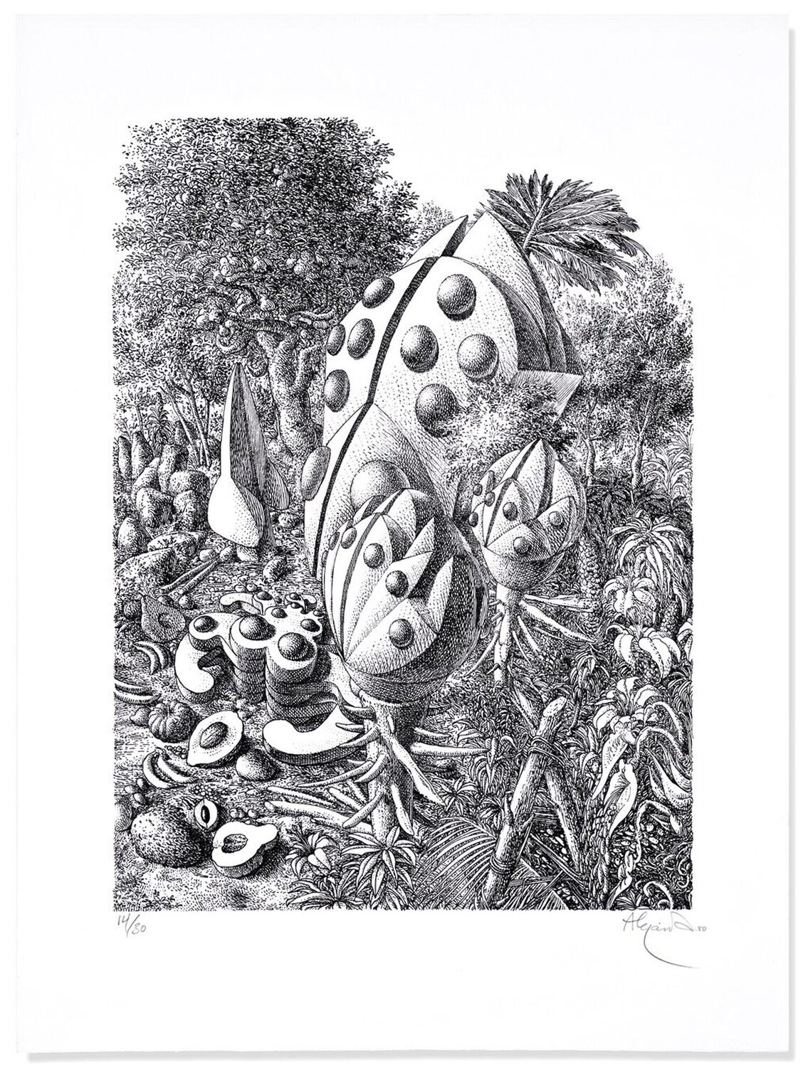 Beetle forest Ramon Alejandro