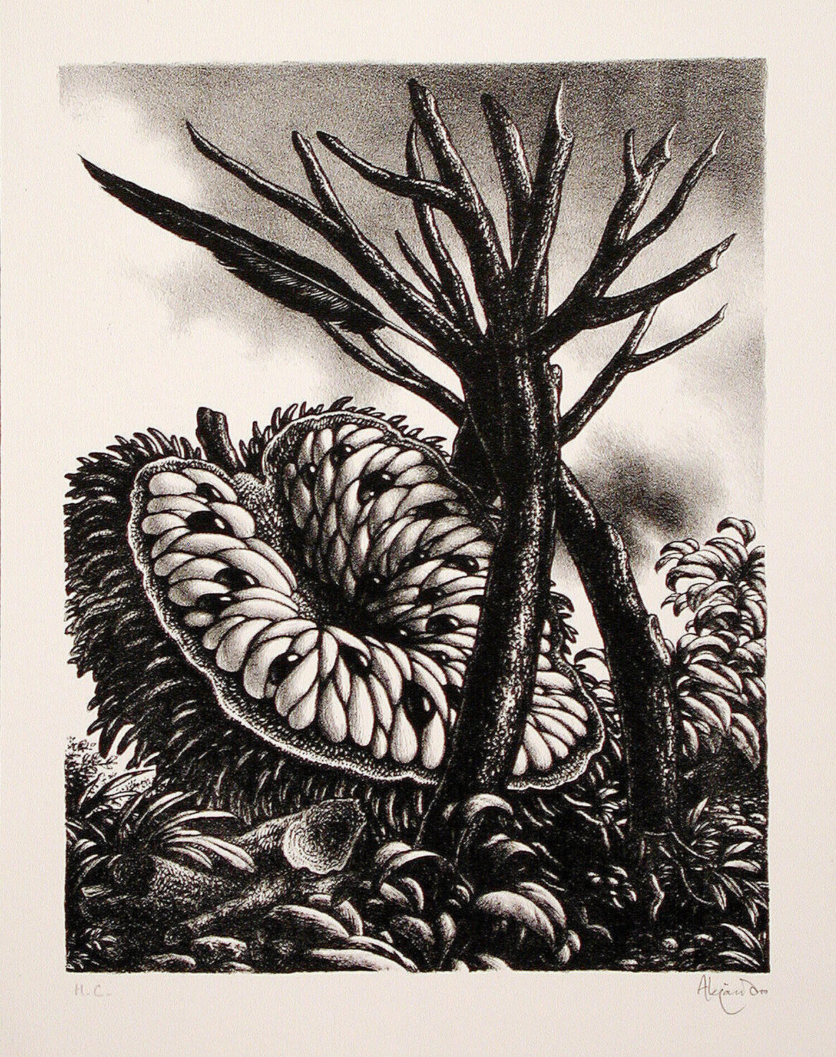 La Corona Ramon Alejandro