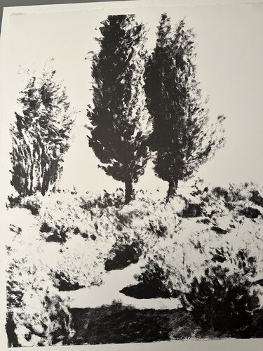 Cypresses in Jerusalem von Avigdor Arikha, Druck kaufen auf Singulart