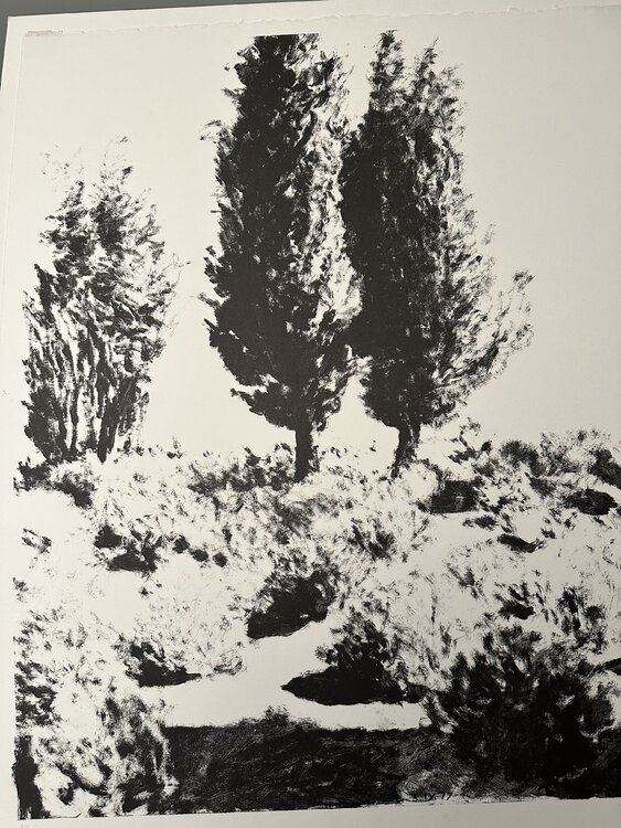 Cypresses in Jerusalem Avigdor Arikha