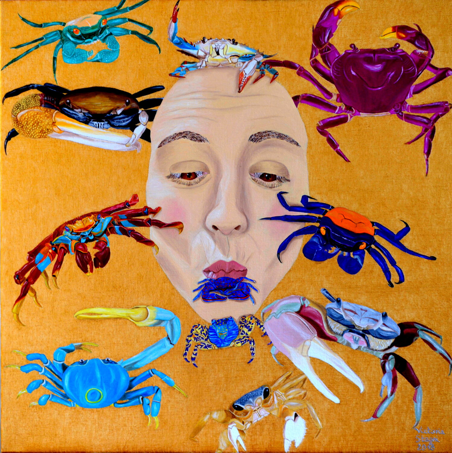 Crabes Victoria Stagni