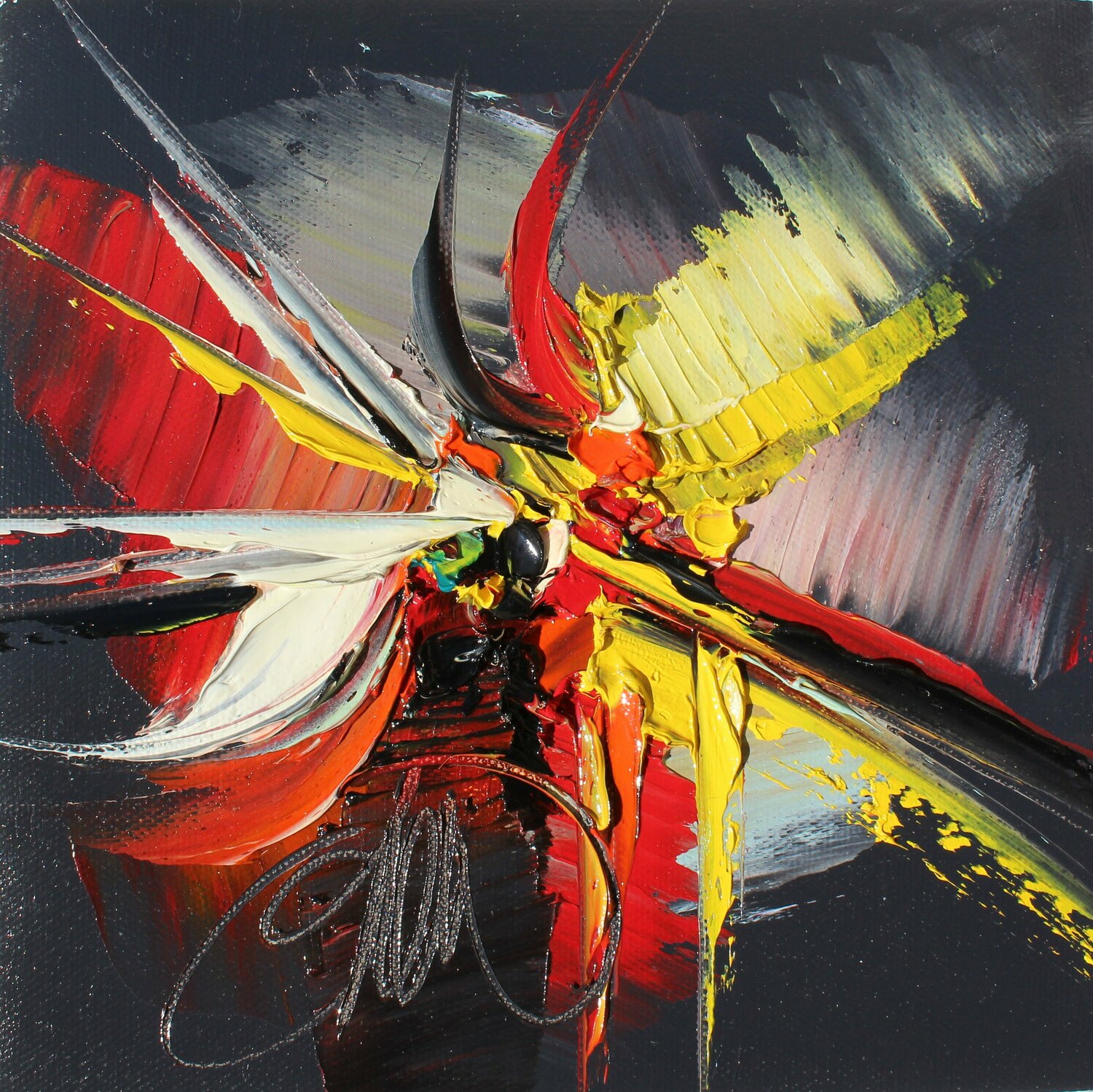 LA COULEUR DE NOS EBATS David Onen