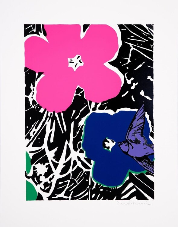 Delirium, Pink Dan Baldwin