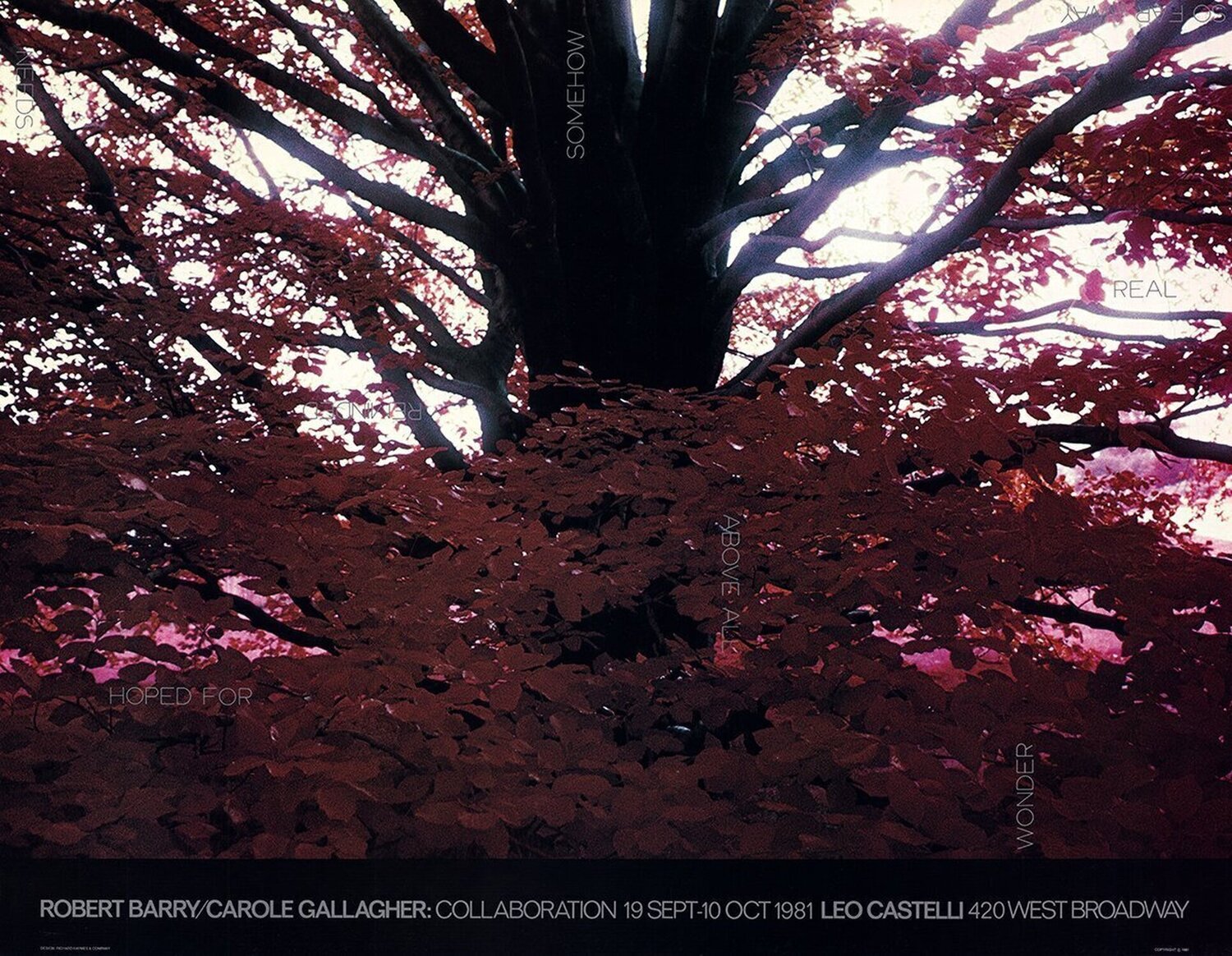Hoped For... Robert Barry Print for sale