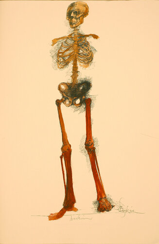 Ars Anatomica: IX von Leonard Baskin, Werk auf Papier kaufen auf Singulart