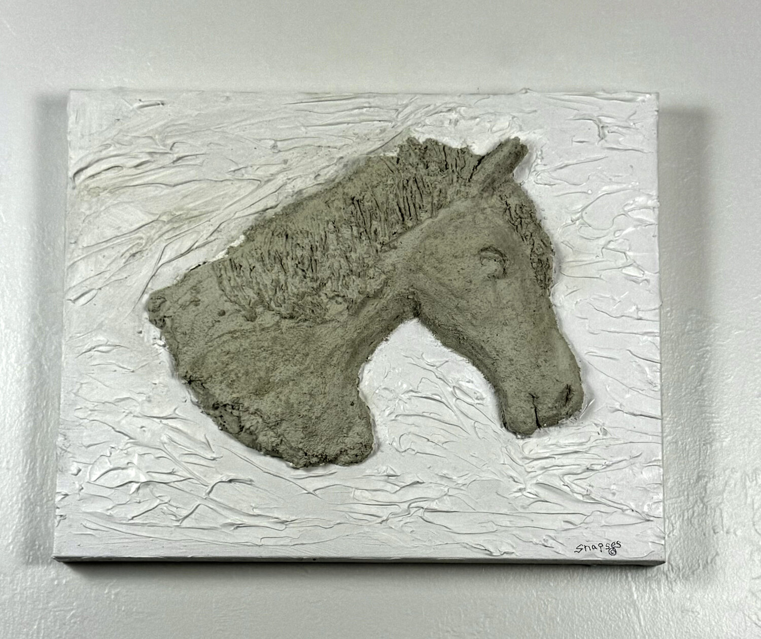 Profil de excellence Joel Shapses