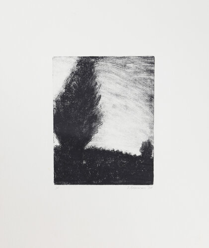 Shrubs on Hill van John Beerman, Afdruk te koop op Singulart