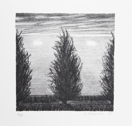 Trees on Field van John Beerman, Afdruk te koop op Singulart