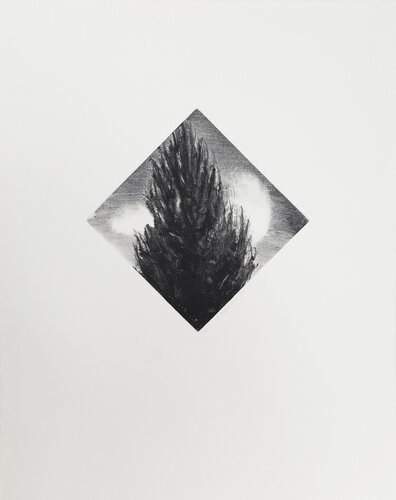 Tip of Tree by John Beerman, Print for Sale on Singulart