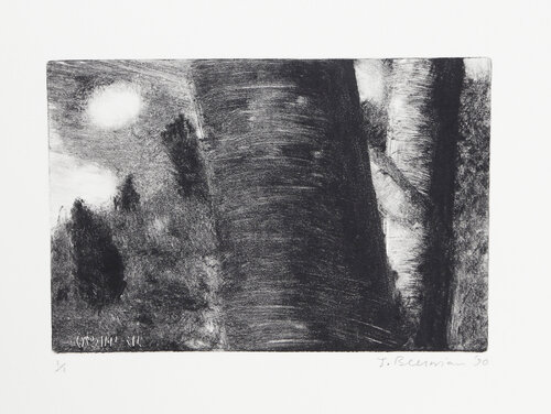 Tree Trunk and Hill by John Beerman, Print for Sale on Singulart