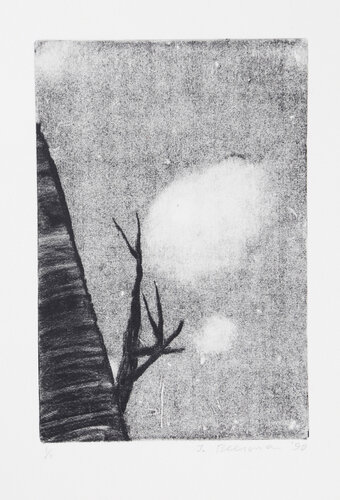 Branches and Sky by John Beerman, Print for Sale on Singulart