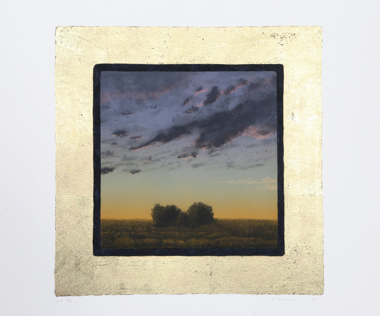 Two Bushes at Twilight John Beerman Stampa in vendita