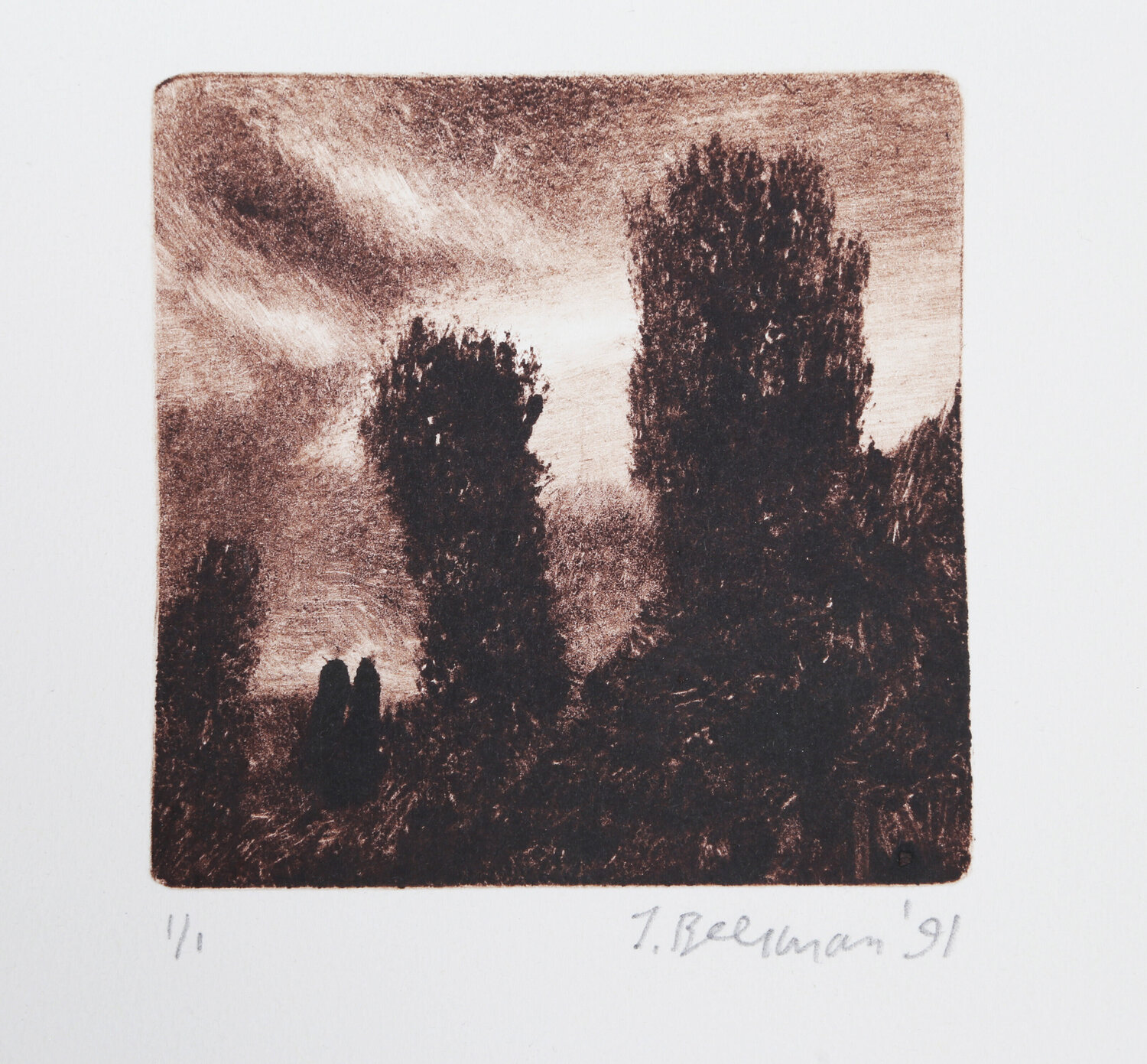 Hill and Prarie John Beerman Stampa in vendita