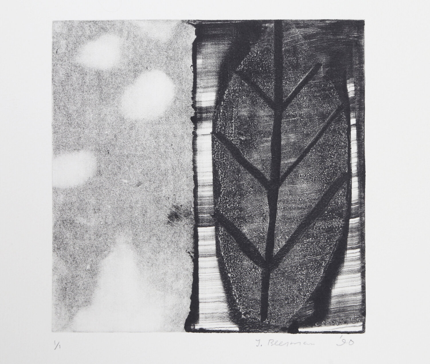 Sky and Leaf John Beerman Print for sale