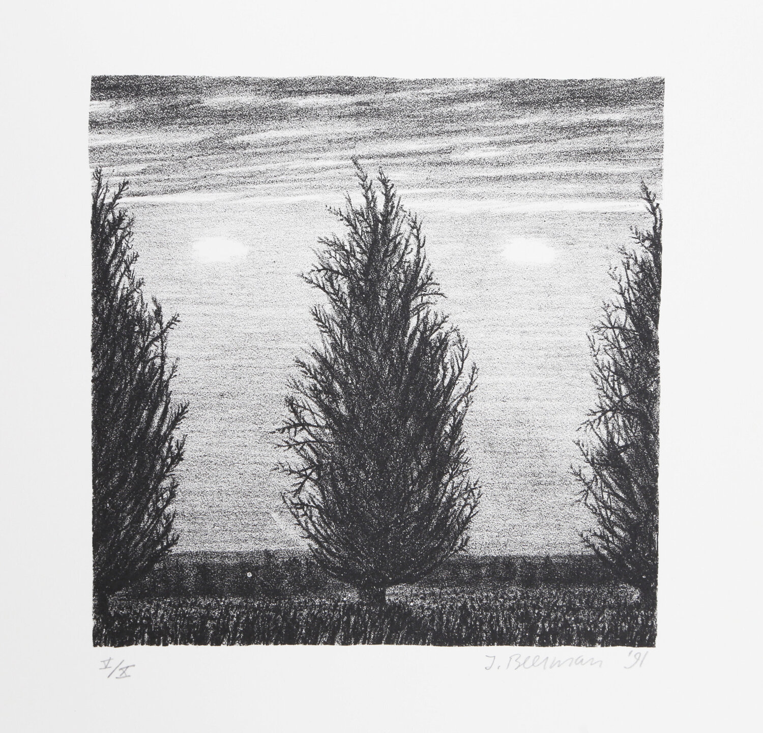 Trees on Field John Beerman Afdruk te koop