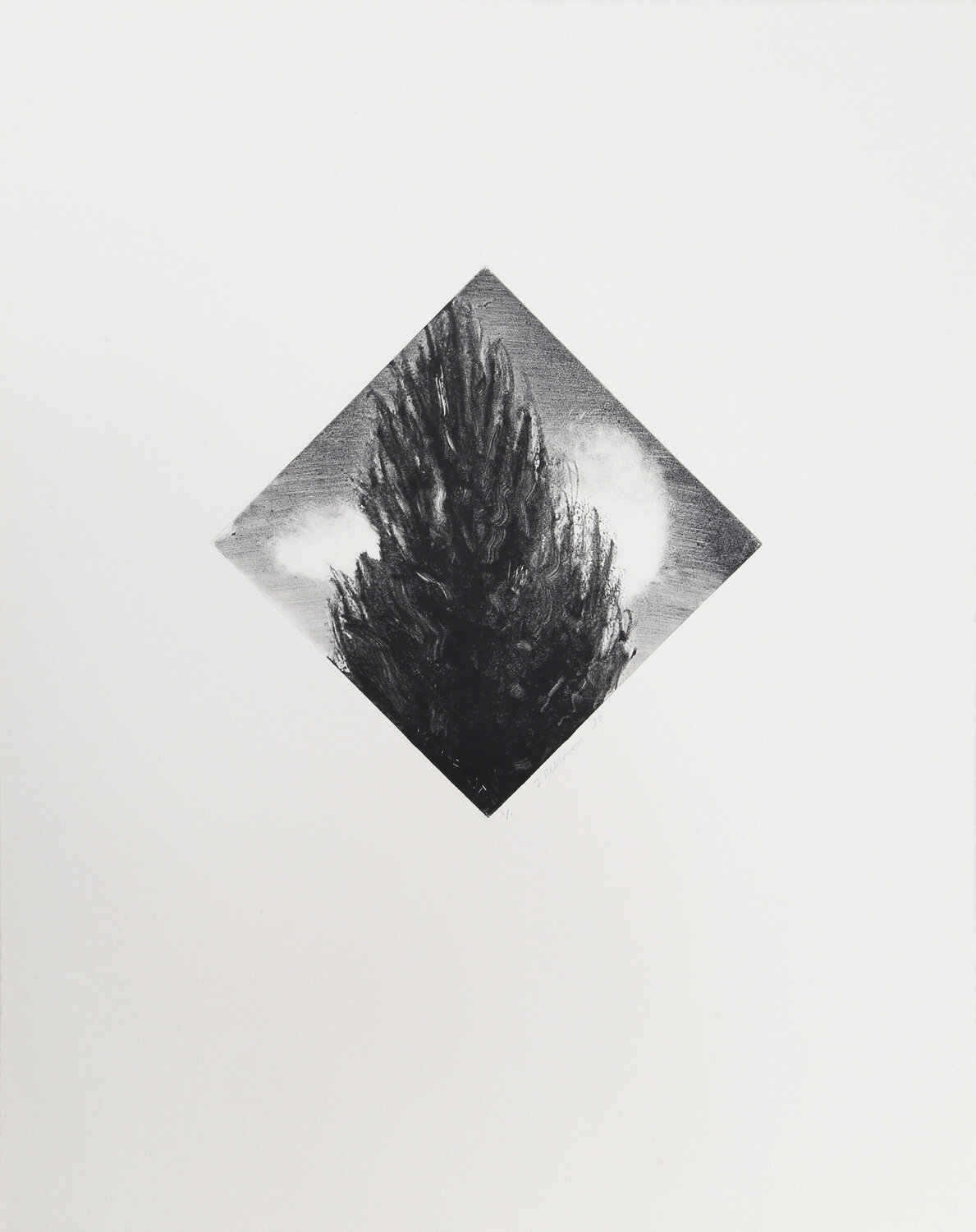 Tip of Tree John Beerman Druck zu verkaufen