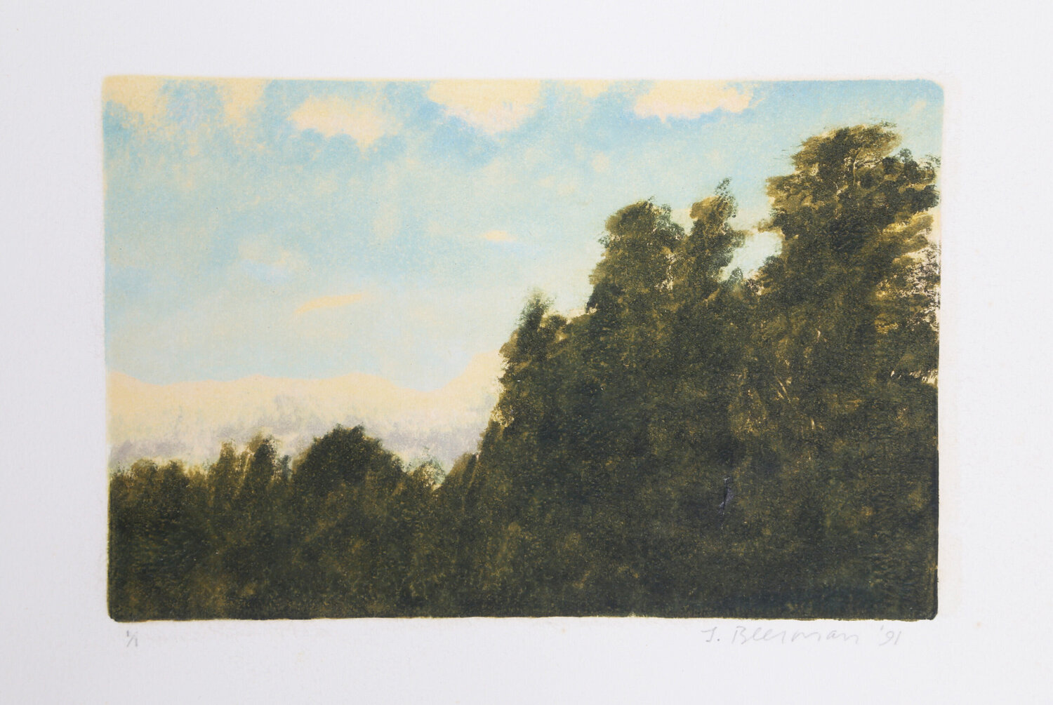 Tree Canopies John Beerman Afdruk te koop