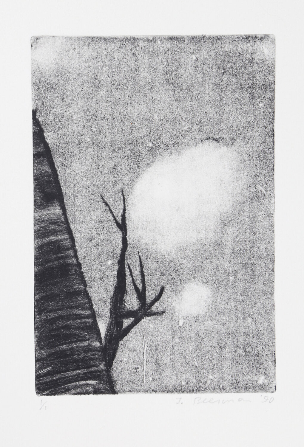 Branches and Sky John Beerman Stampa in vendita