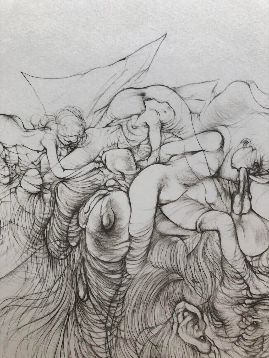 Waterlily Hans Bellmer