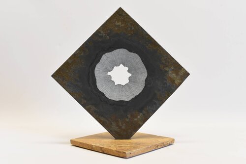 FLEUR DU TEMPS van Marc Mugnier, Andere media te koop op Singulart