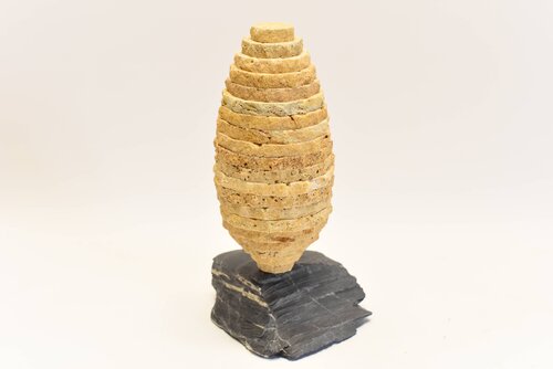 COCON DORÉ di Marc Mugnier, Scultura in vendita su Singulart