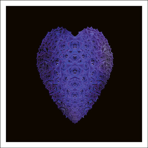 Purple Heart von Carlos Betancourt, Fotografie kaufen auf Singulart