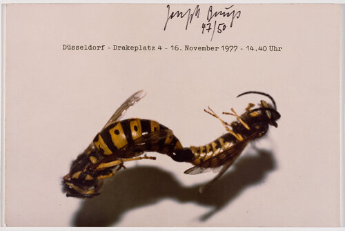 Dusseldorf, Drakeplatz 4 de Joseph Beuys, Impresión a la venta en Singulart