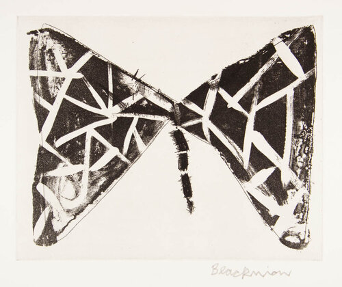 Butterfly Cat's Eyes by Charles Blackman, Print for Sale on Singulart