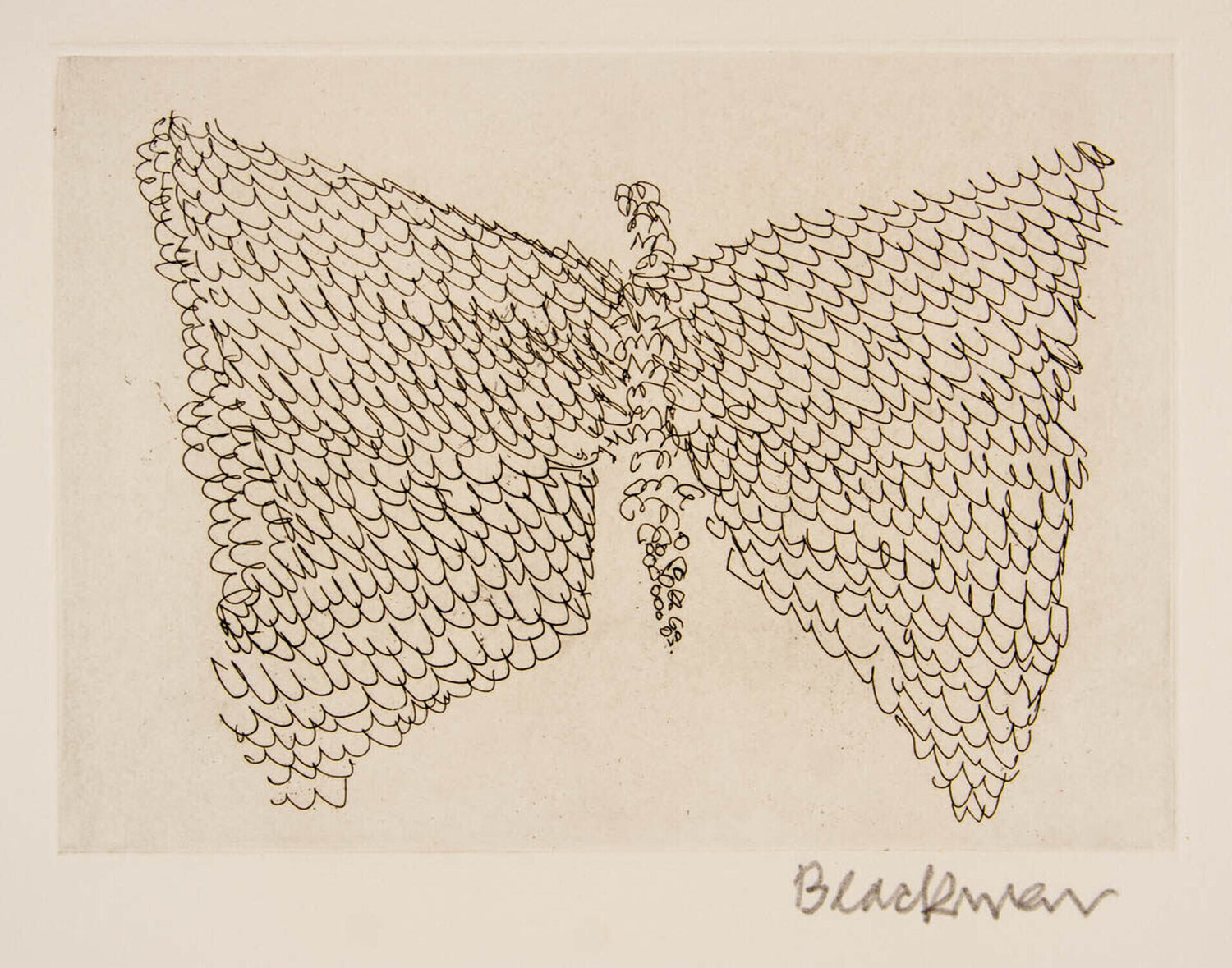 Butterfly Stars (Ribbon) Charles Blackman Druck zu verkaufen