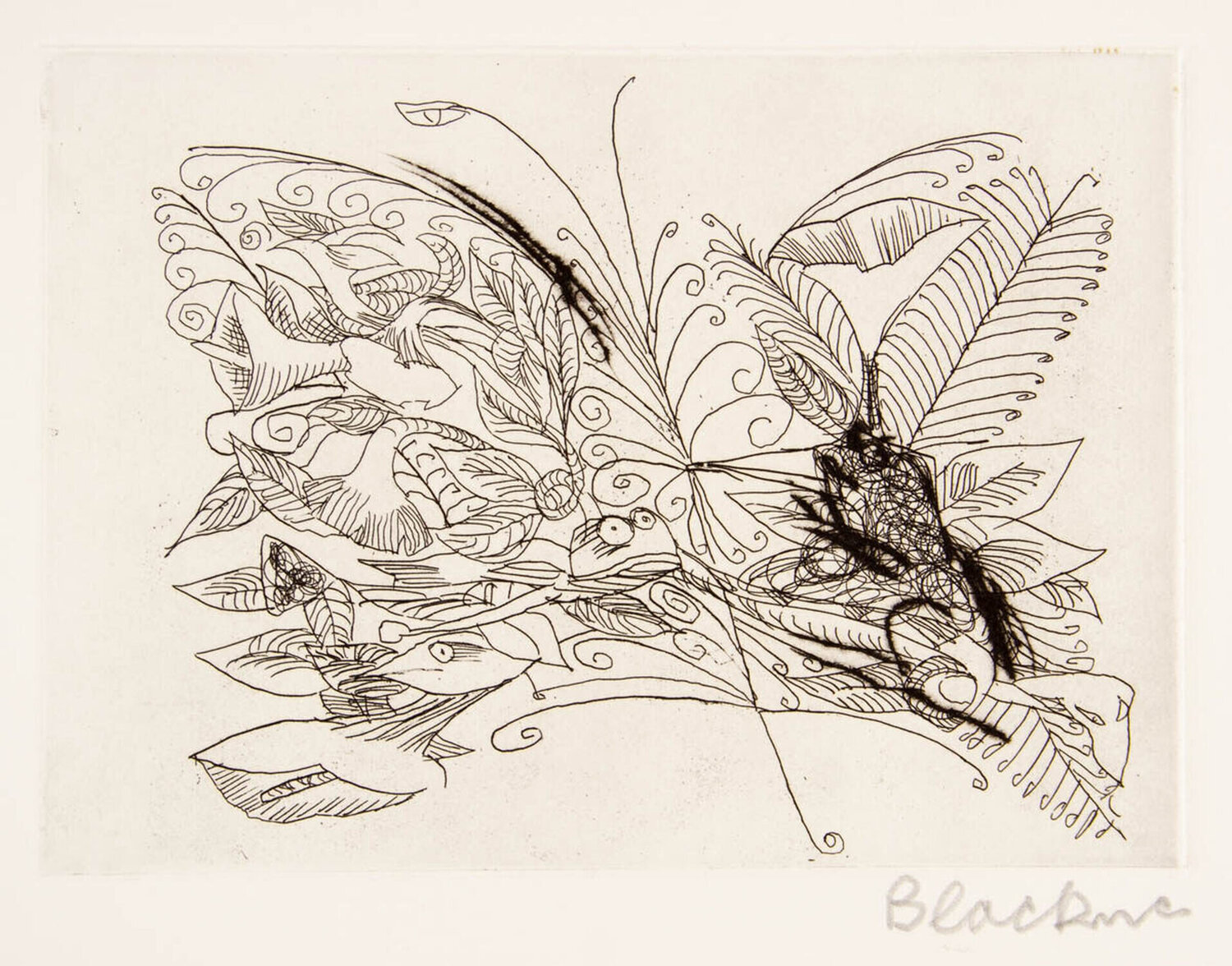 Japanese Butterfly Charles Blackman Stampa in vendita