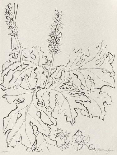 Figuier V by Pierre Boncompain, 인쇄 for Sale on Singulart