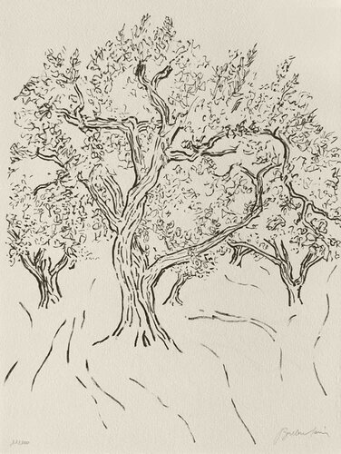 Figuier III by Pierre Boncompain, 인쇄 for Sale on Singulart