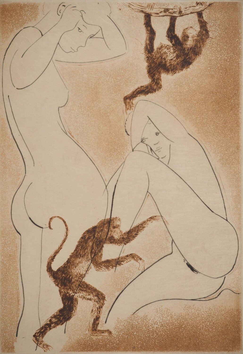 Les femmes aux singes Alain Bonnefoit