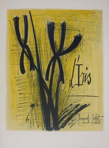 L'Iris by Georges Braque, Print for Sale on Singulart