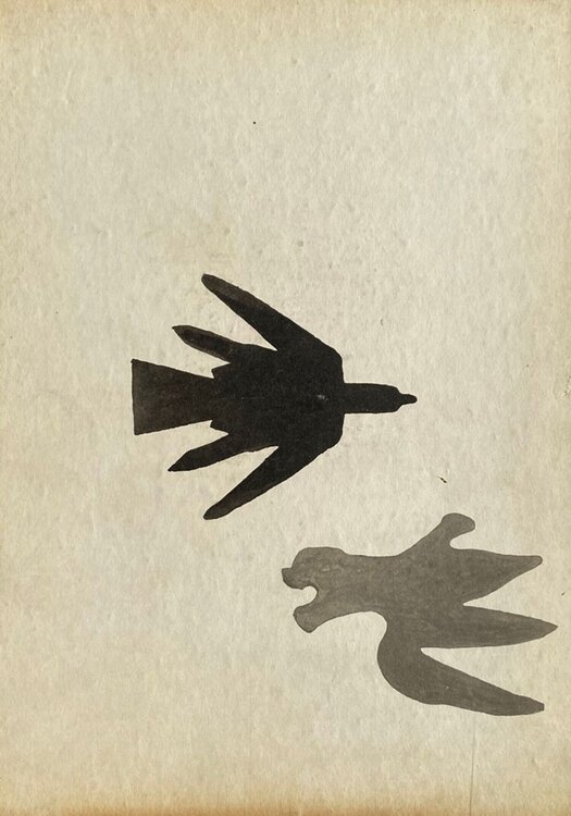 Oiseaux Georges Braque