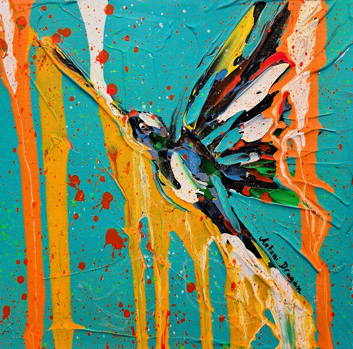 Little hummingbird in color rain Antoni Dragan