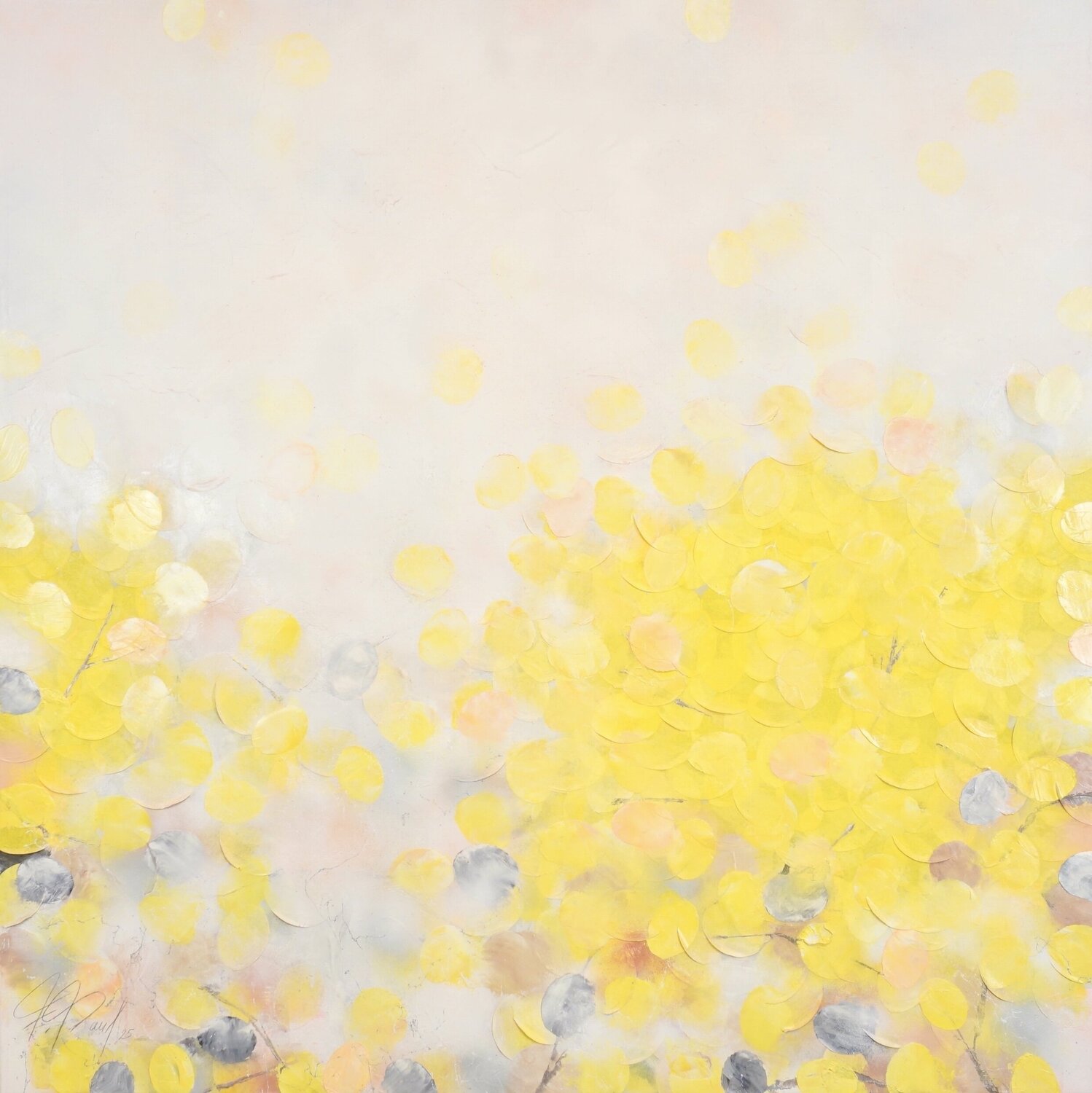 Sun Harmony Frederic Paul