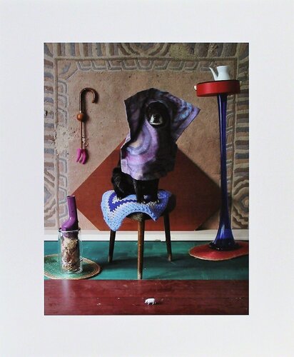 Mara van Rüdipuss - Ernie, Portraits of a Studiodog by Thorsten Brinkmann, Photography for Sale on Singulart
