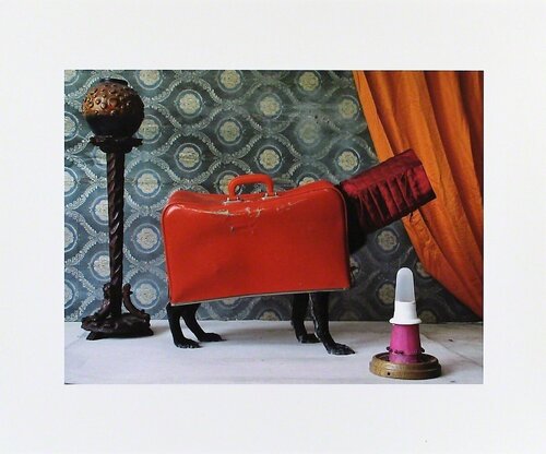 Der klassische Fourleg - Ernie, Portraits of a Studiodog by Thorsten Brinkmann, Photography for Sale on Singulart