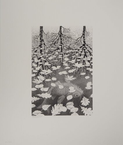 Automne et carpe di M. C. Escher, Stampa in vendita su Singulart