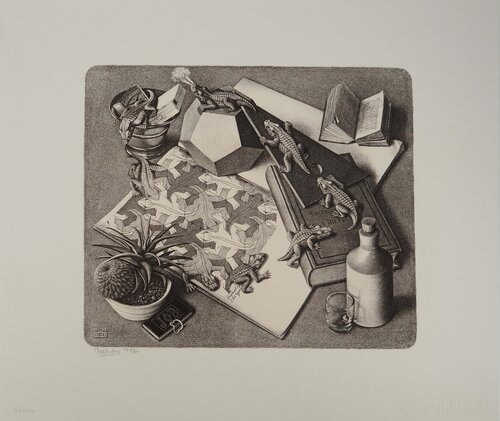 Nature morte aux reptiles di M. C. Escher, Stampa in vendita su Singulart