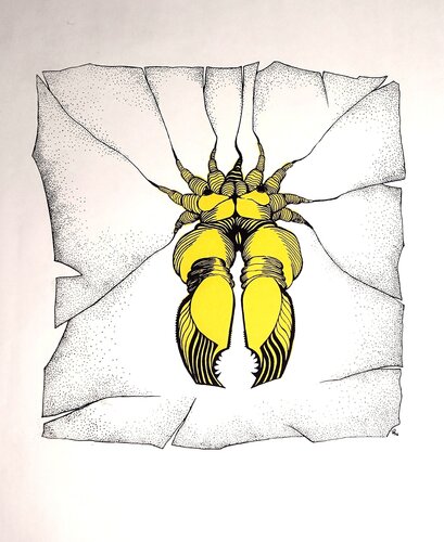 Gefährliche Begegnung by Klaus Feuchtinger, Print for Sale on Singulart