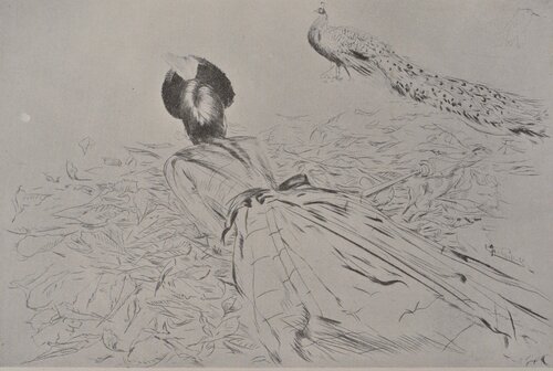 Les paons Paul César Helleu