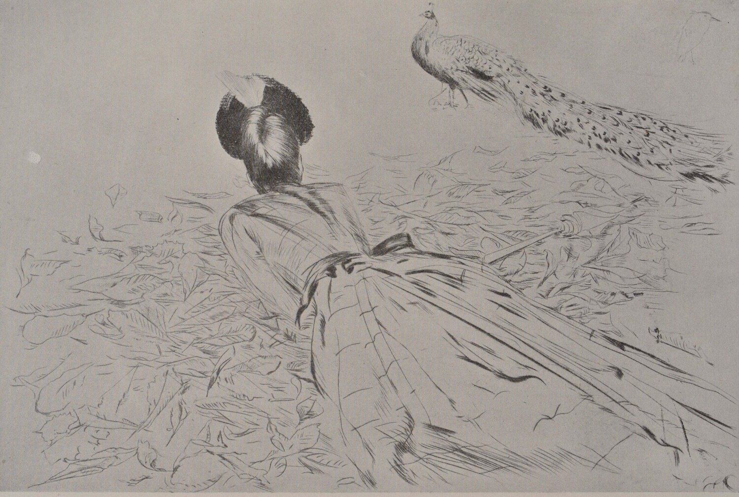 Les paons Paul César Helleu