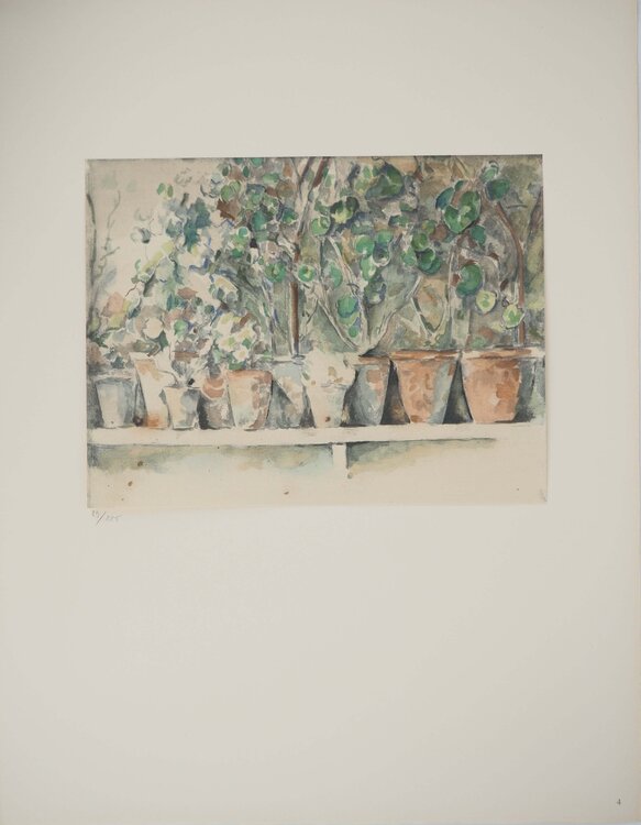 Les pots de géraniums Paul Cézanne