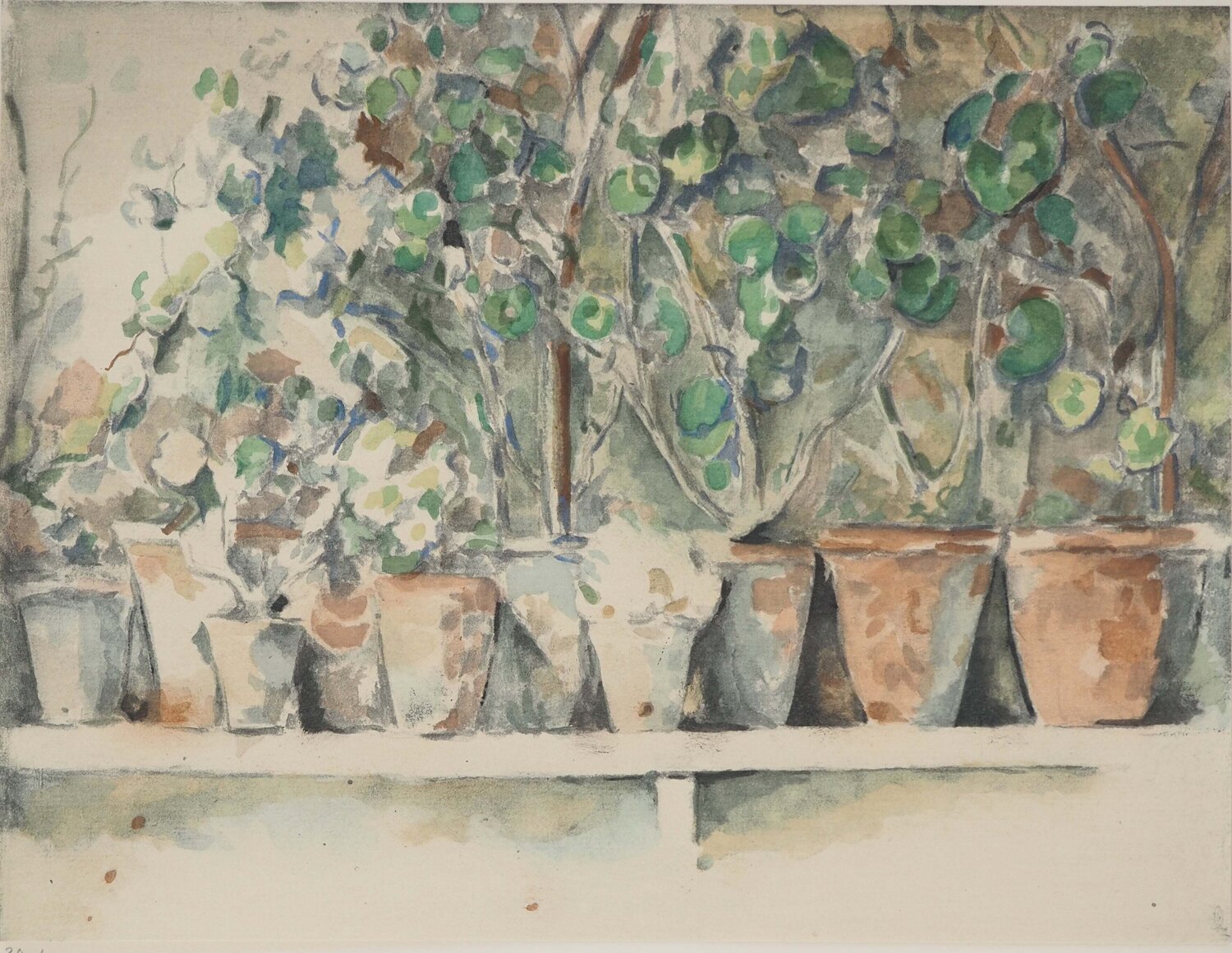Les pots de géraniums Paul Cézanne Afdruk te koop