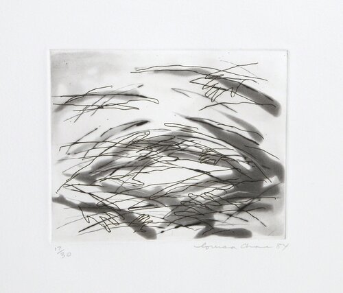 Portfolio of Six Etchings, II di Louisa Chase, Stampa in vendita su Singulart