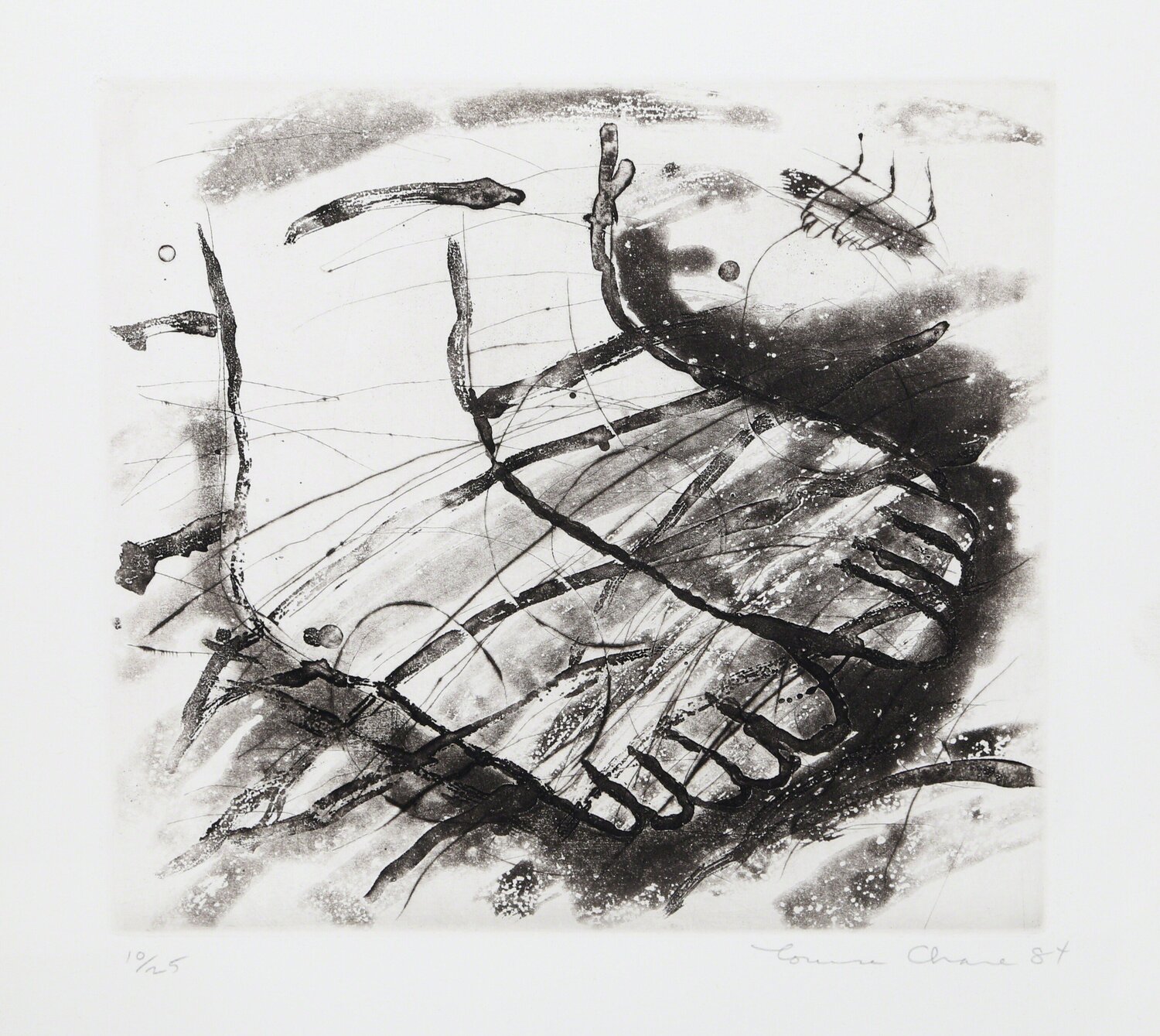Feet (Black and White) Louisa Chase
