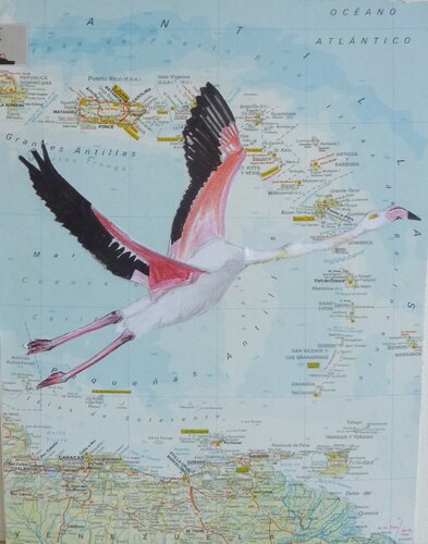FLAMINGO AIRLINES di Marcos Zrihen, Pittura in vendita su Singulart