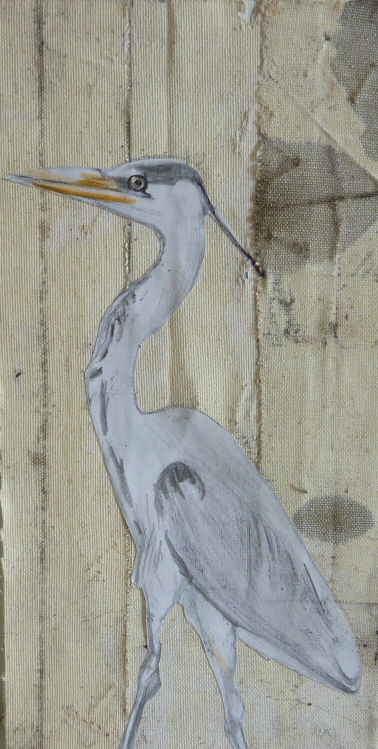 GREY HERON Marcos Zrihen